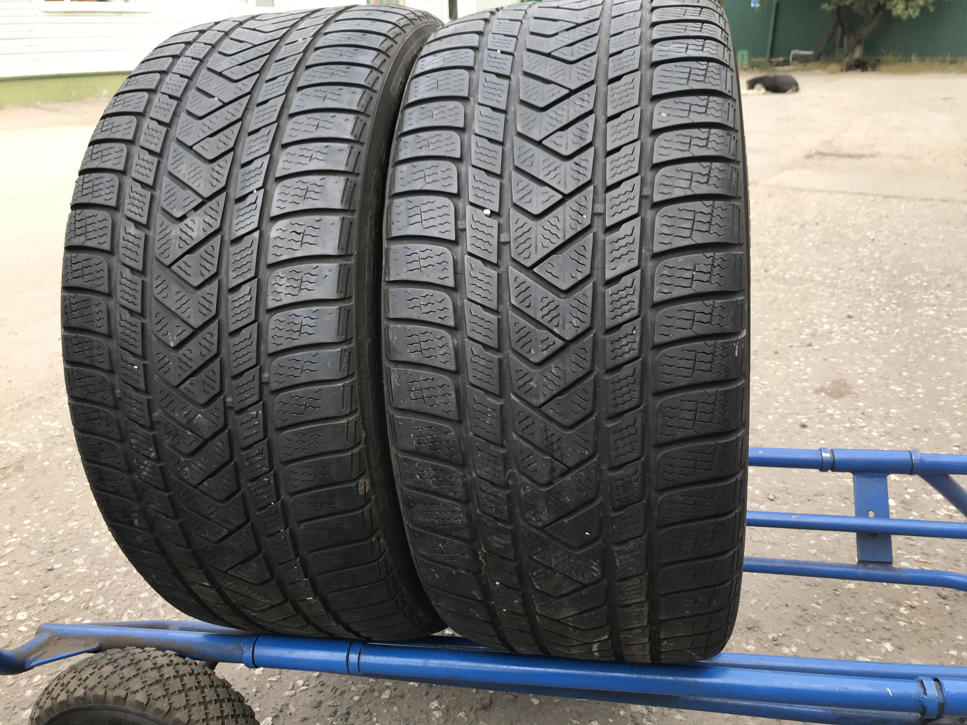 Зимняя резина 275 55 r19. Pirelli Winter Sottozero 3. Pirelli Winter Sottozero. Pirelli Winter Sottozero III. Шины сharmhoo 245 45 19 зима.