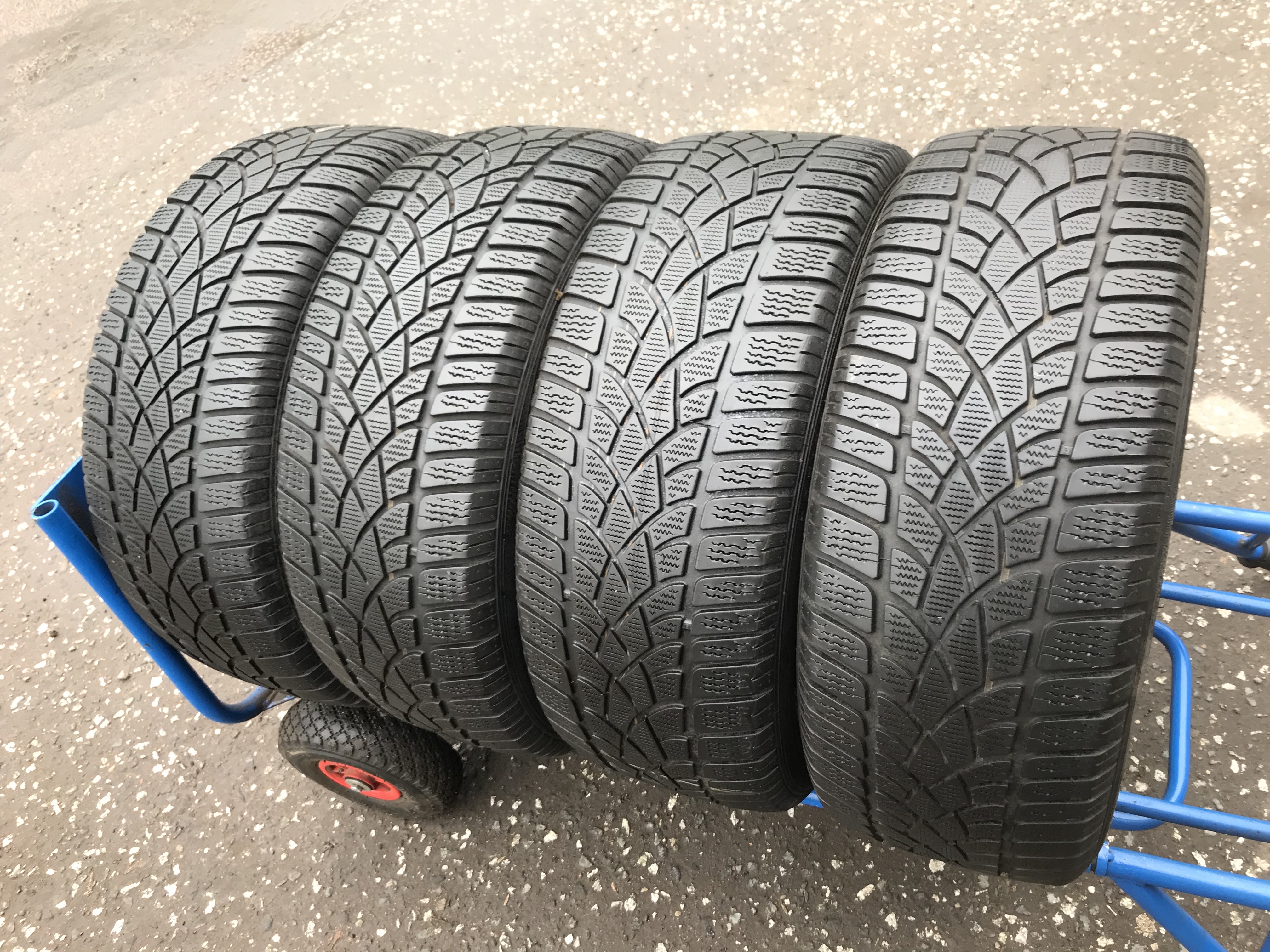 245 45 r19 зимняя. Dunlop 235 55 17 Winter Sport. Hankook Winter ICEPT iz 225/45/18. Автомобильная шина Evergreen ew66 215/55 r16 97h зимняя.