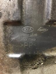 Защита двигателя Kia Picanto 
