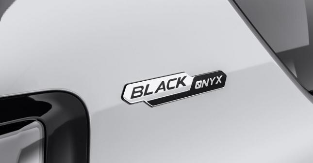 Шильдик Land Cruiser Prado Black Onyx 2018-2023 PW189