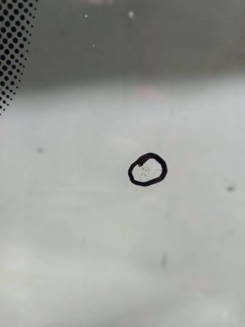 Лобовое стекло BMW X5 G05 51317440766