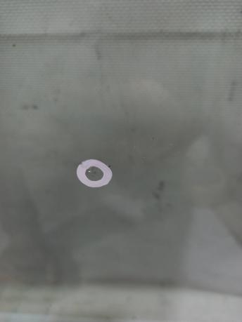 Лобовое стекло Mercedes W213 E A2136703301