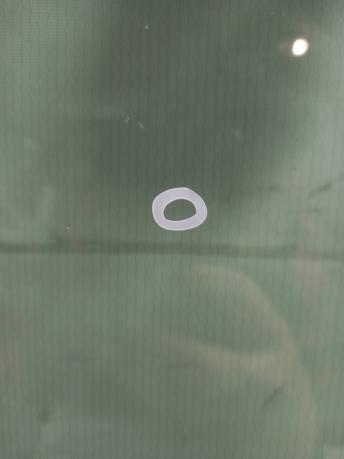 Лобовое стекло Land-Rover Range Rover Evoque L551 7046AGNCHMOVZ1E