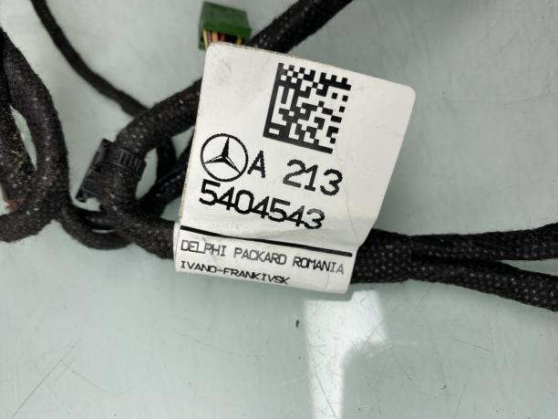 Проводка двери задняя левая Mercedes W213 a2135404543