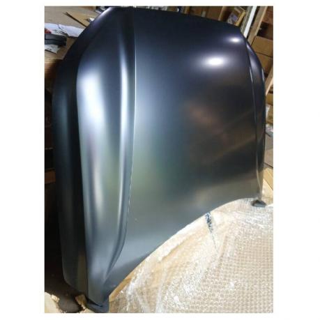 Palisade Капот 66400S8000