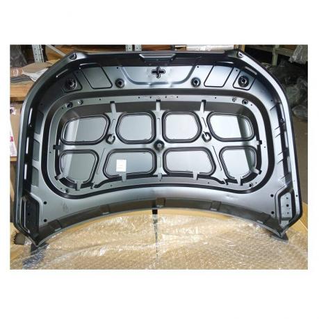 Palisade Капот 66400S8000