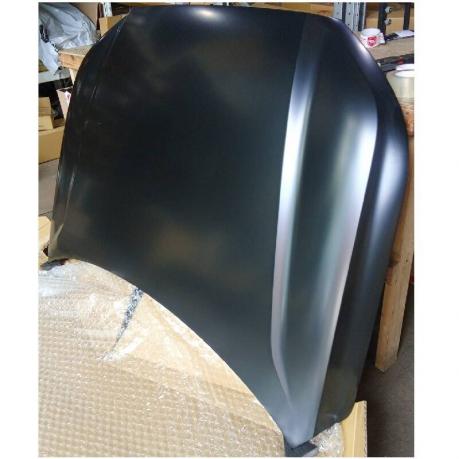 Palisade Капот 66400S8000