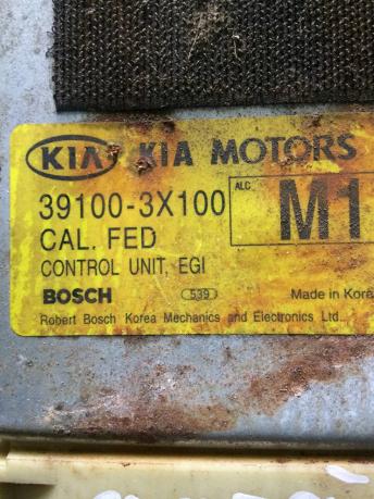 Блок управления двигателем (ЭБУ) Kia Sportage 1 391003X100