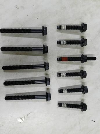 Комплект болтов головки блока Ford 5,0 5,8 HB106