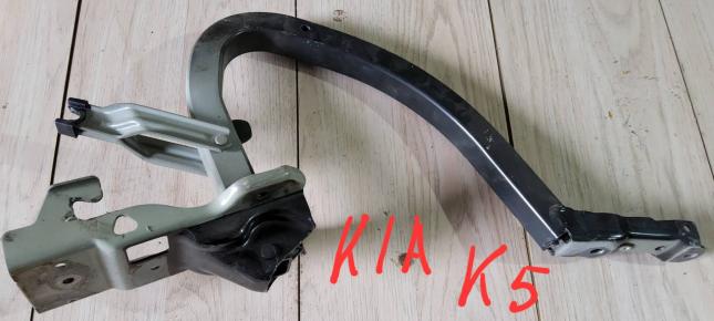 Петля  крышки багажника Kia K5 69920L2000