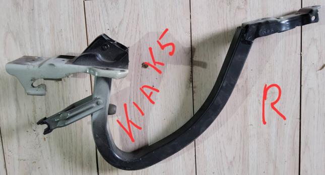 Петля  крышки багажника Kia K5 69920L2000