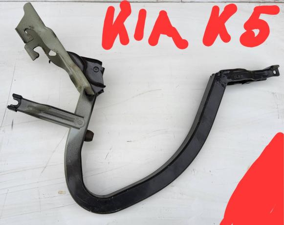 Петля  крышки багажника Kia K5 69920L2000