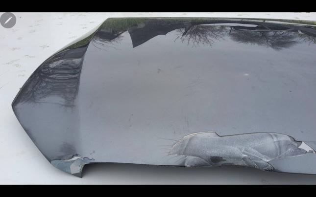 Капот Mercedes E-class A2138850203