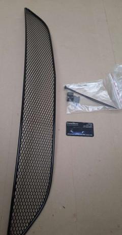 Защитная сетка радиатора Ford Focus, Arbori 01-171215-151