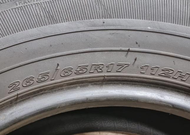 Nexen Roadian HTX RH5 265/65 R17 112H