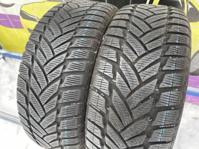 225/55 R17 Dunlop SP Winter Sport M3 зимние нешипованные