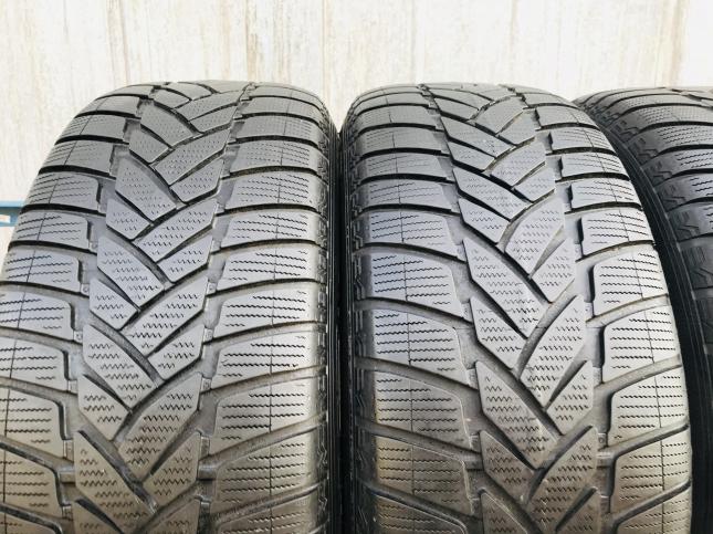 Шины 265 55 19 Dunlop WinterSport M3 107h