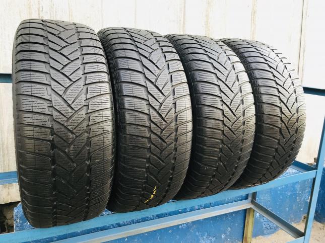 Шины 265 55 19 Dunlop WinterSport M3 107h