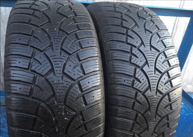 225/45R17 94V XL sunny Winter-Grip SN3860 