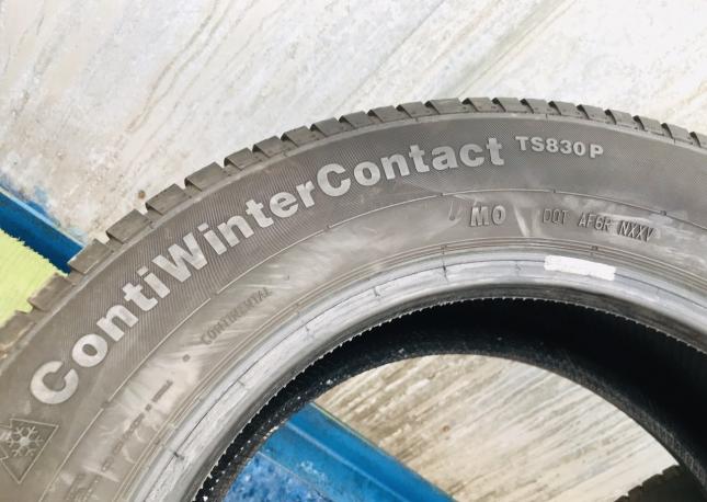 225 55 16 Continental Winter Contact TS 830P 
