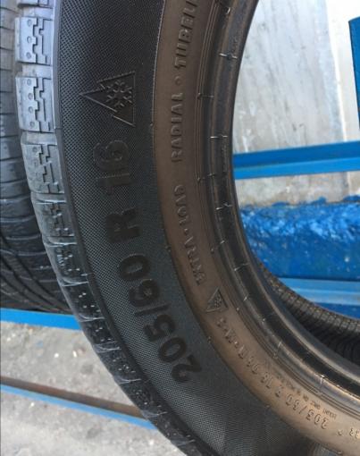 205/60R16 Continental Winter Contact TS830P 