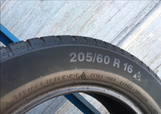 Continental winter contact TS830P пара 205/60R16