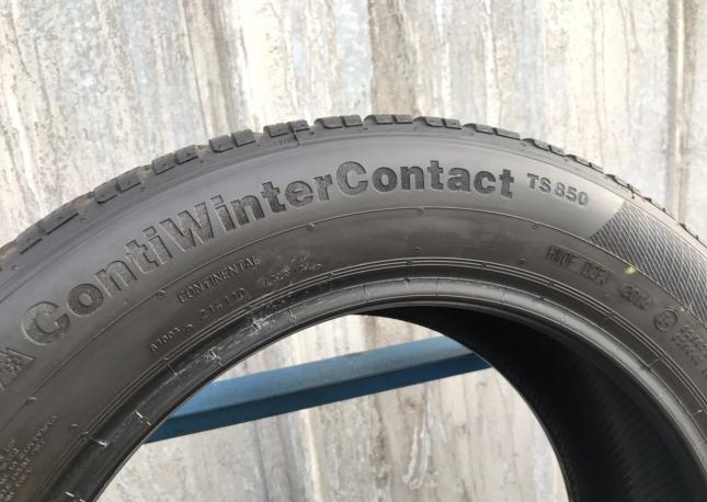 205 55 16 Continental Winter Contact TS850