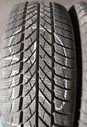 Gislaved Euro Frost 5 225/50 R17