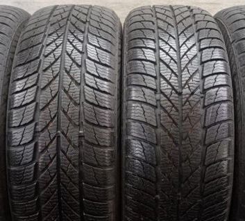 Gislaved Euro Frost 5 195/65 R15