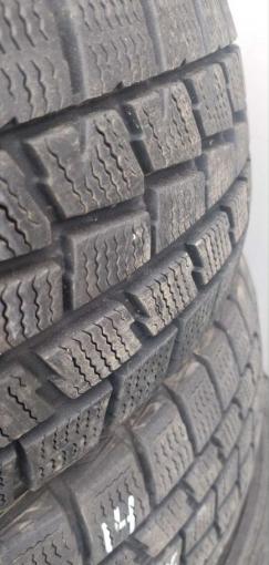 Dunlop SP Winter Maxx WM01 175/65 R14