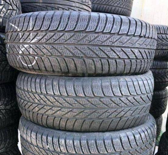 Gislaved Euro Frost 5 205/55 R16