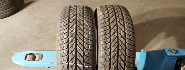 Gislaved Euro Frost 5 225/50 R17