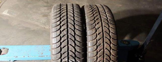 Sava Eskimo S3+ 215/65 R16
