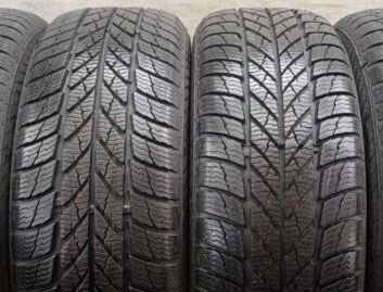 Gislaved Euro Frost 5 195/65 R15