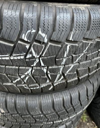 Gislaved Euro Frost 6 205/55 R16