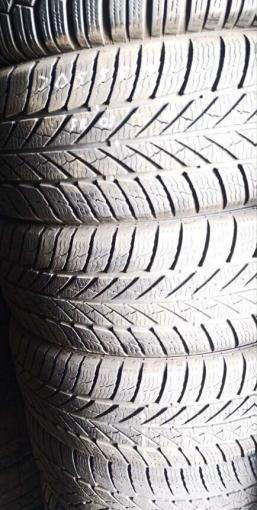 Gislaved Euro Frost 5 205/55 R16
