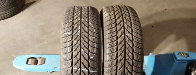 Gislaved Euro Frost 5 225/50 R17