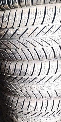 Gislaved Euro Frost 5 205/55 R16