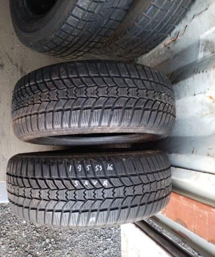 Sava Eskimo HP2 195/55 R16 H