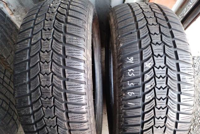 Sava Eskimo HP2 195/55 R16 H