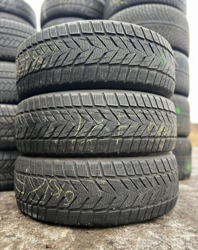 Vredestein Wintrac Xtreme S 225/55 R19