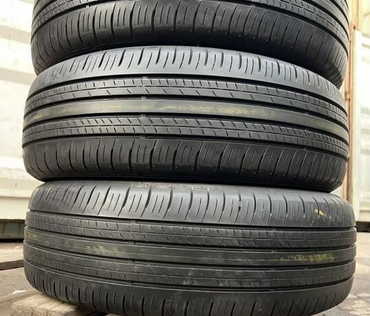 Dunlop Grandtrek PT30 225/65 R17