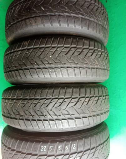 Vredestein Wintrac 4 Xtreme 225/55 R18 V