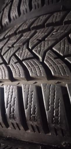 Dunlop Winter Sport 5 195/55 R16