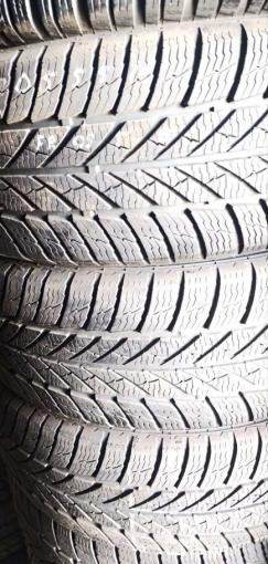 Gislaved Euro Frost 5 205/55 R16