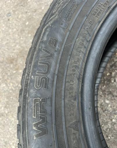 Nokian Tyres WR SUV 3 215/65 R17