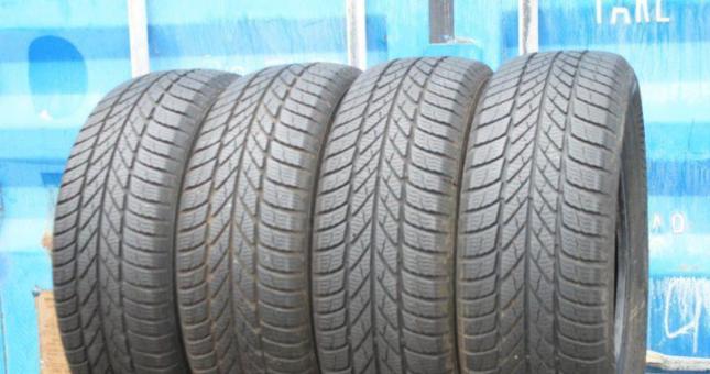 Gislaved Euro Frost 5 195/65 R15