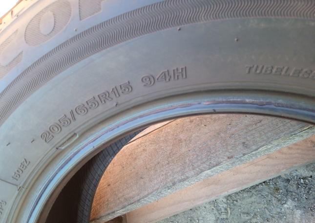 Bridgestone Ecopia EP150 205/65 R15