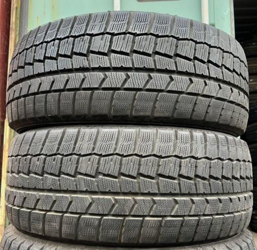 Dunlop Winter Maxx WM02 225/55 R16