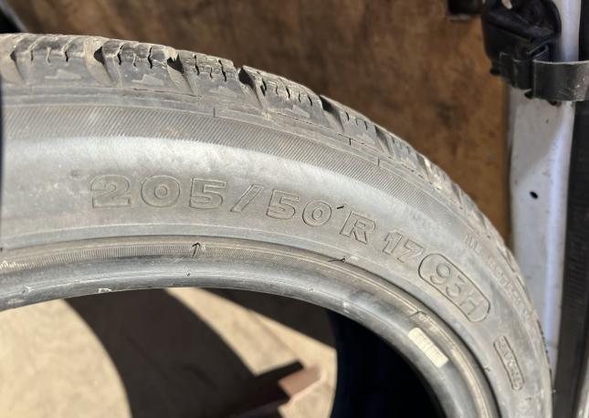 Michelin Pilot Alpin Radial XSE 205/50 R17